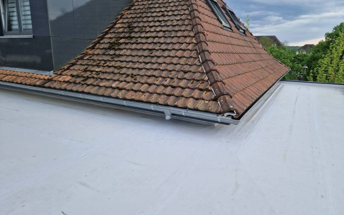 Couverture Wittenheim